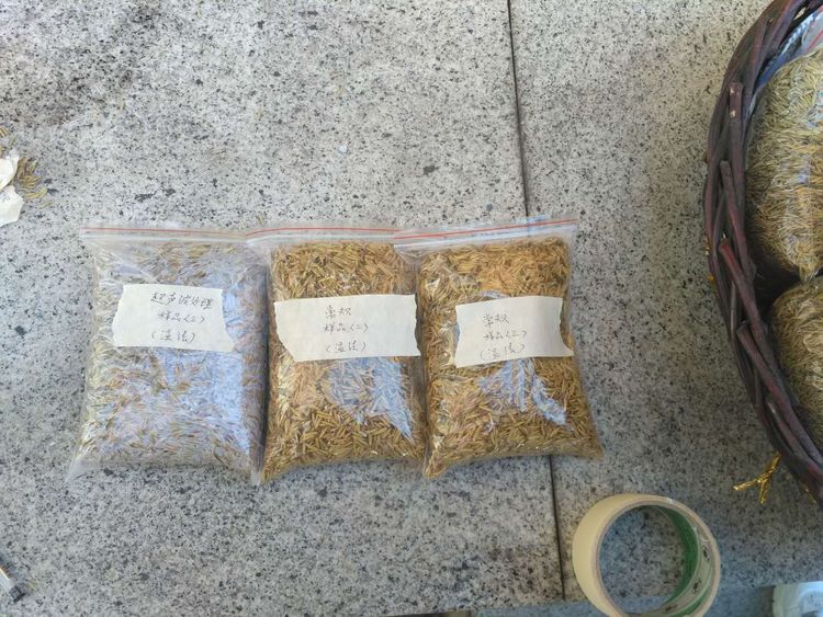 “超聲波處理對(duì)稻谷表面微生物的影響”發(fā)表論文啦！！